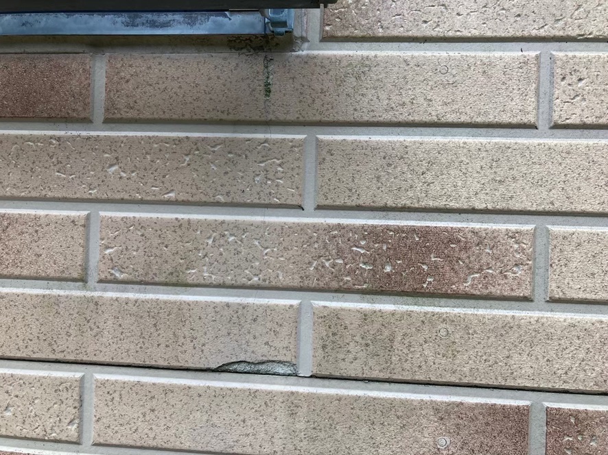 外壁材剥がれ　藻　カビ